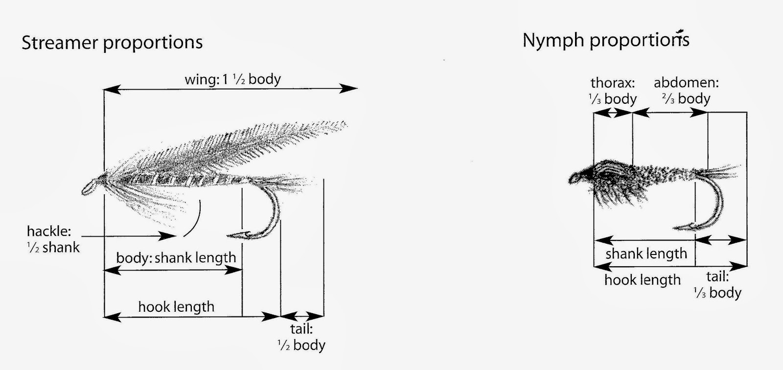 Fly Fishing with Doug Stewart Fly Tying Proportion Illustrations