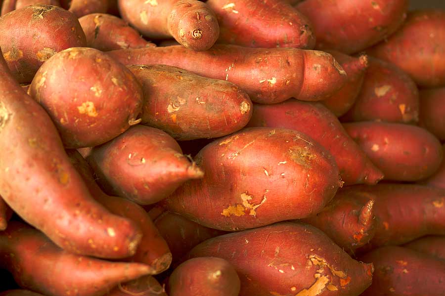 Recipes For Laughter Teriyaki Yams A Thanksgiving Tradition