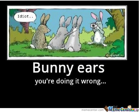 Bunny-Ears_o_138915.jpg