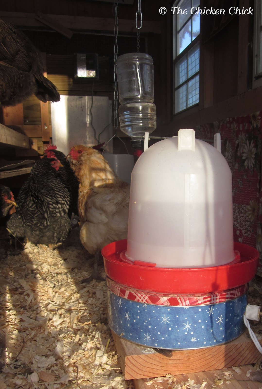 Chicken Nipple Waterer DIY Instructions Clean Water is