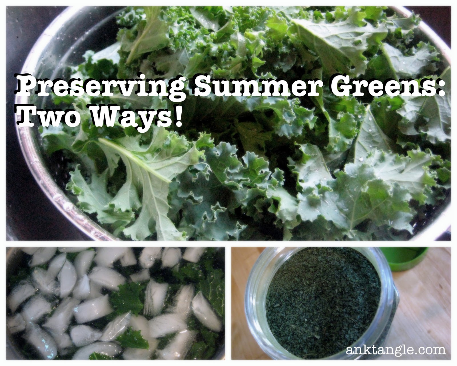 Anktangle Two Handy Ways to Preserve Summer Greens