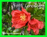 fatti conoscere