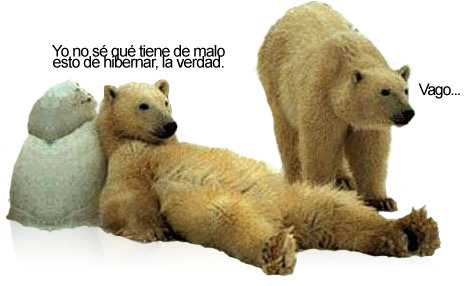 EL CAJON DE LOS CONOCIMIENTOS: HIBERNACIÓN