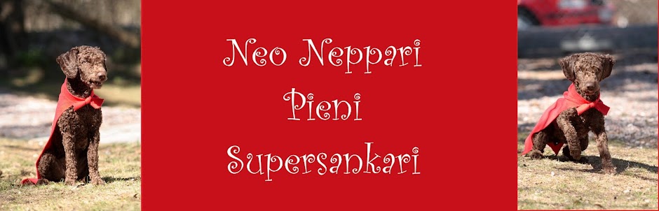 Neo Neppari Pieni Supersankari