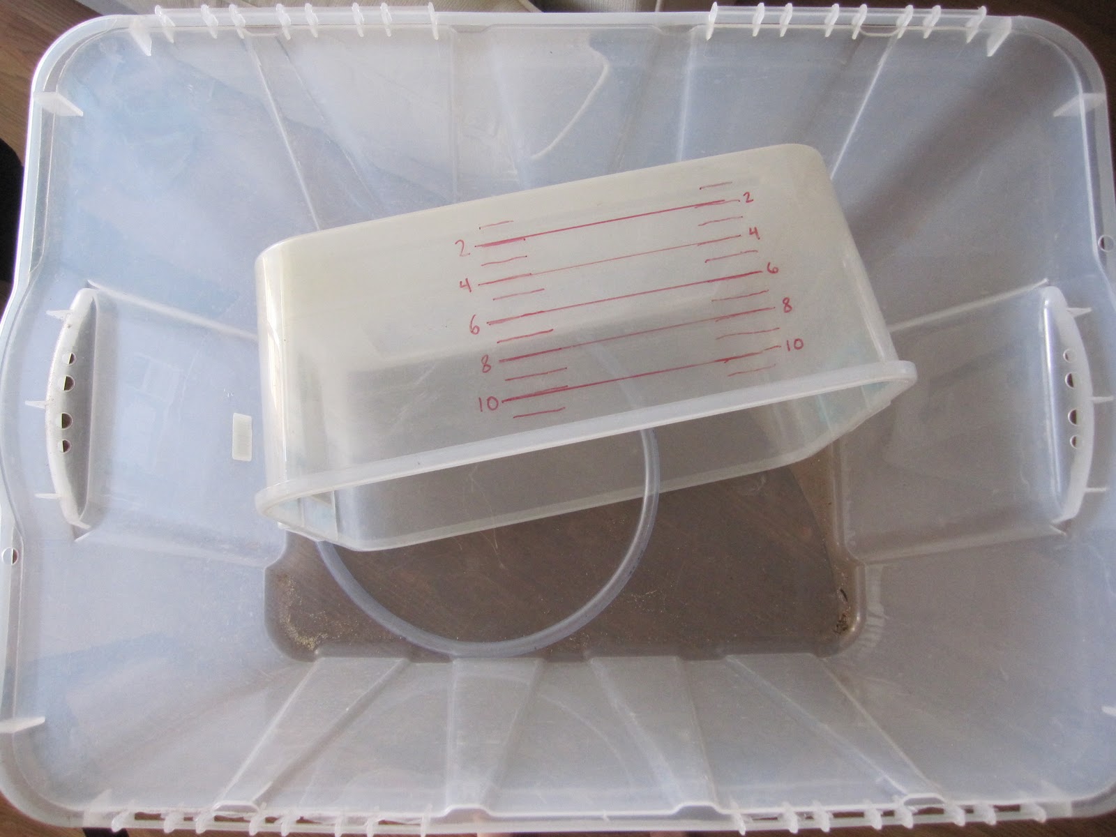 Average Lung Capacity