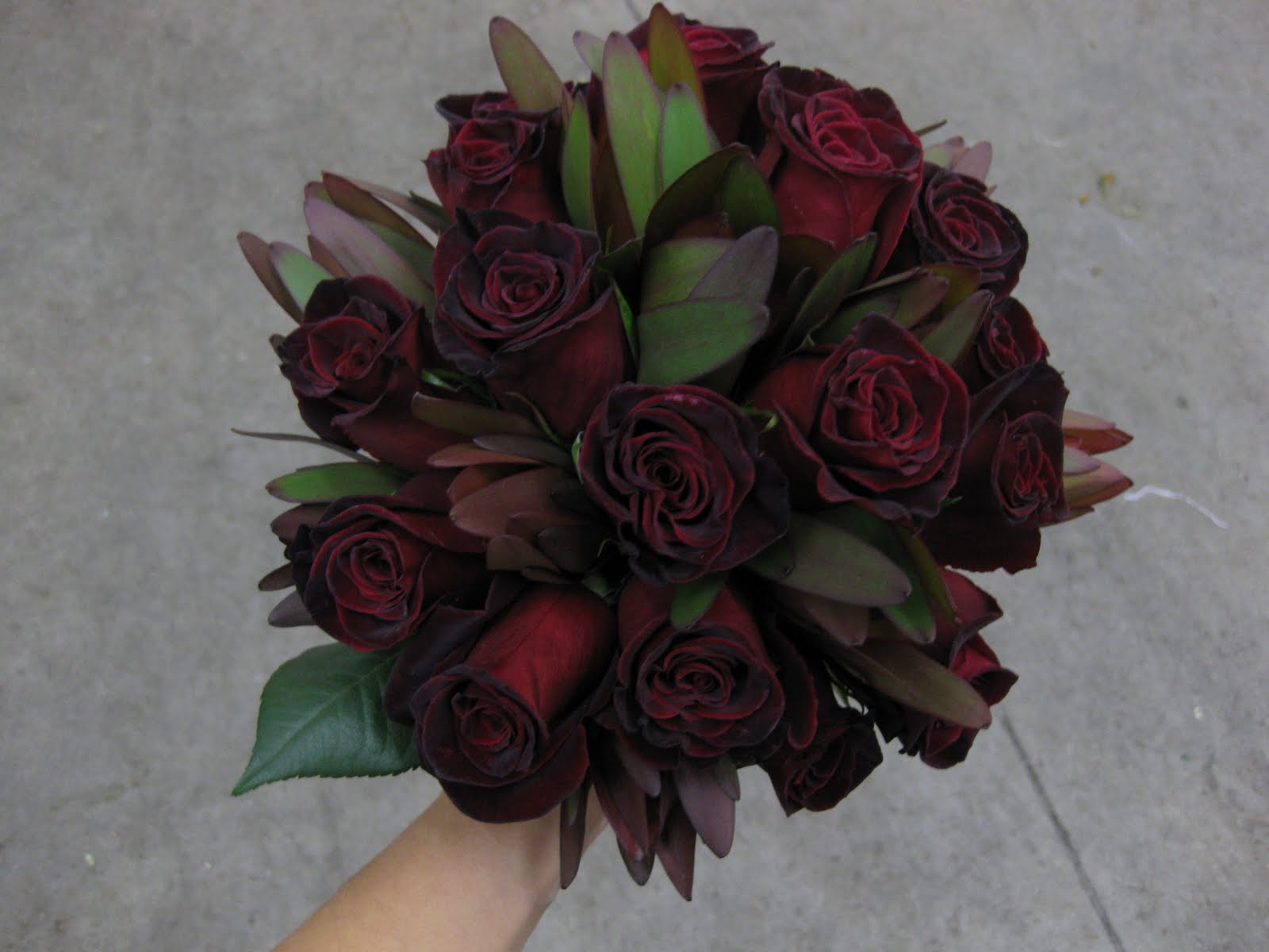 Real Black Rose Bouquet Real Black Rose Bouquet