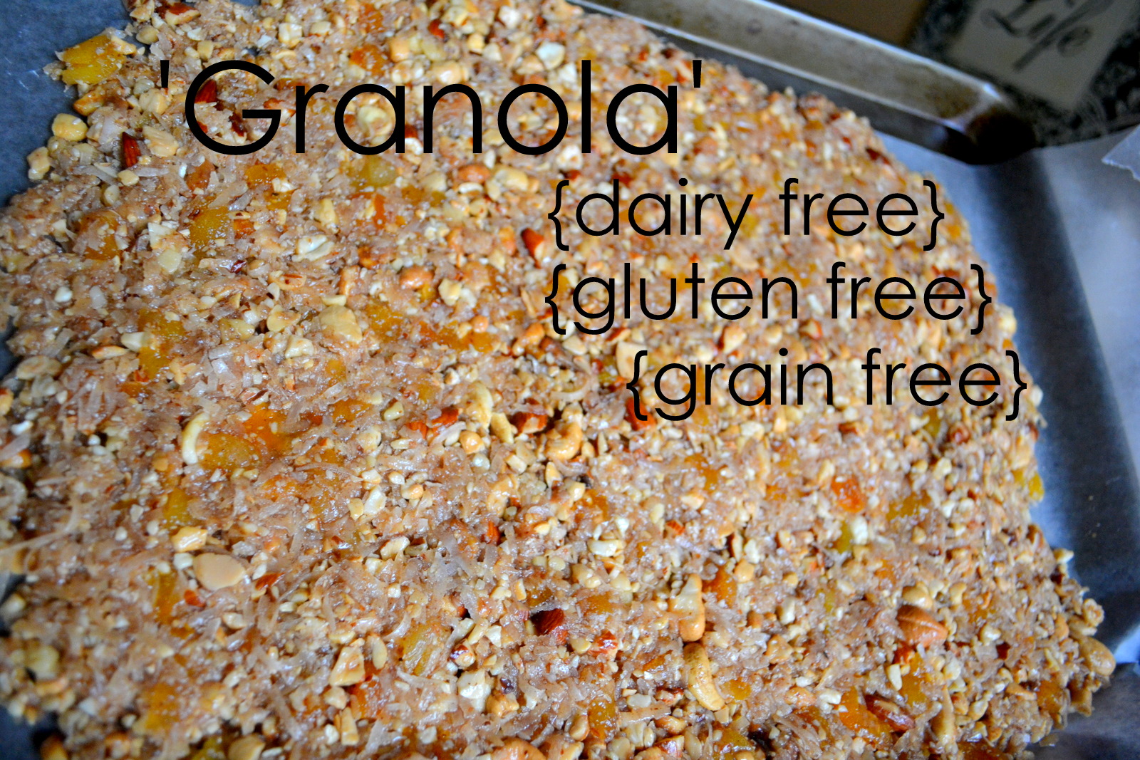 ThriceTheSpice 'Granola' Dairy Free, Gluten Free, Grain Free