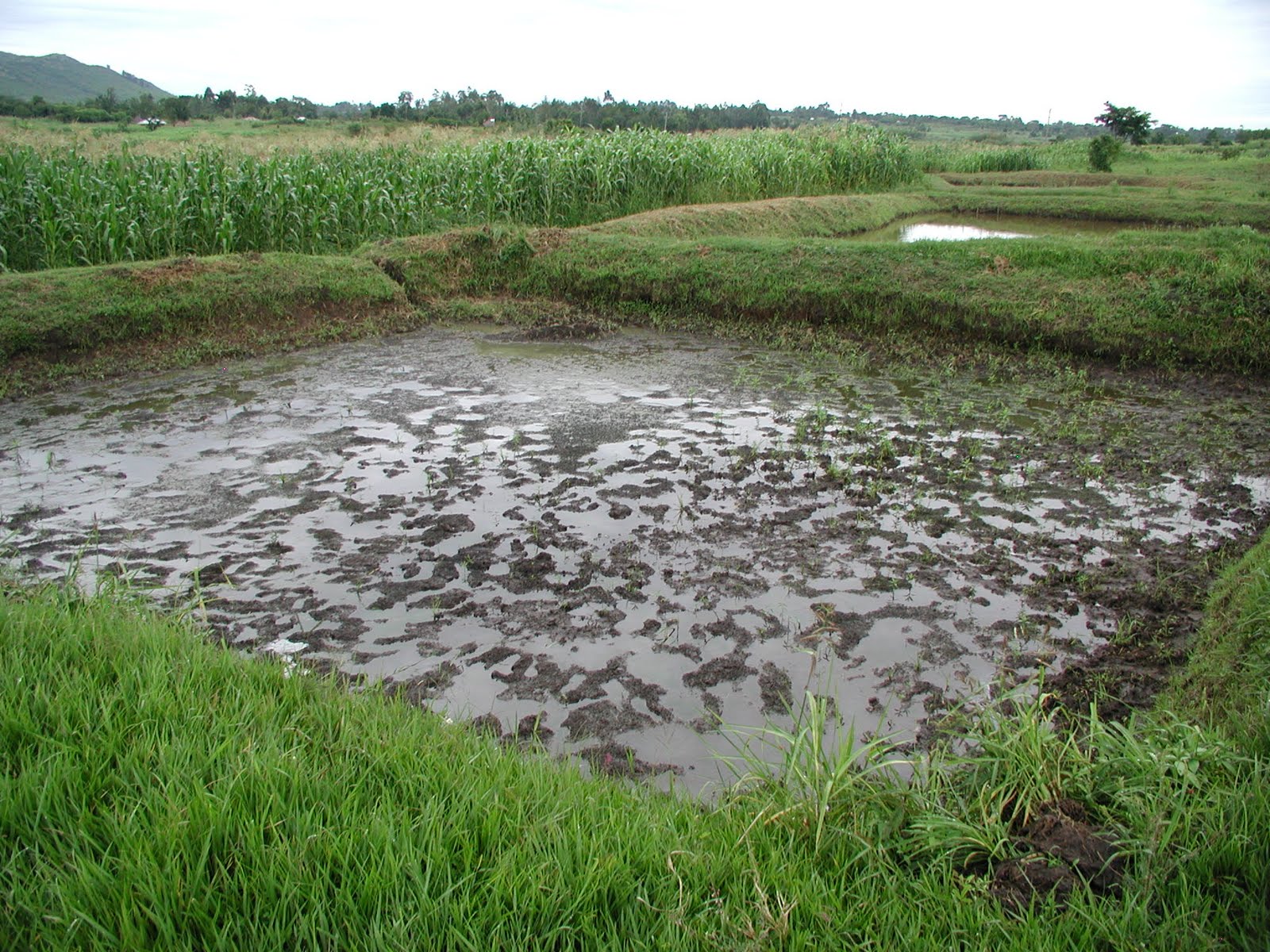 Dave's East Africa Blog Day 13 Busia May 21, 2011