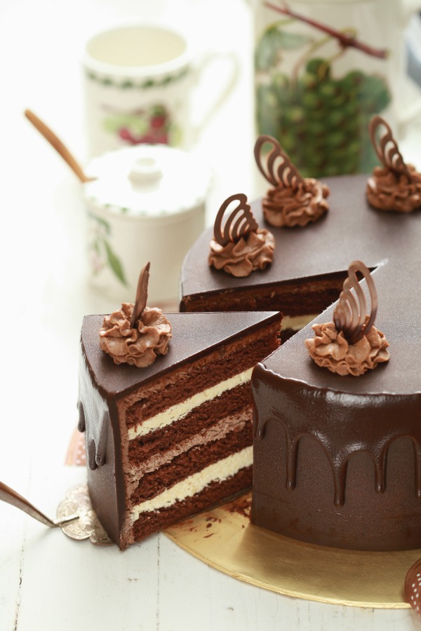 Chocolate Indulgence