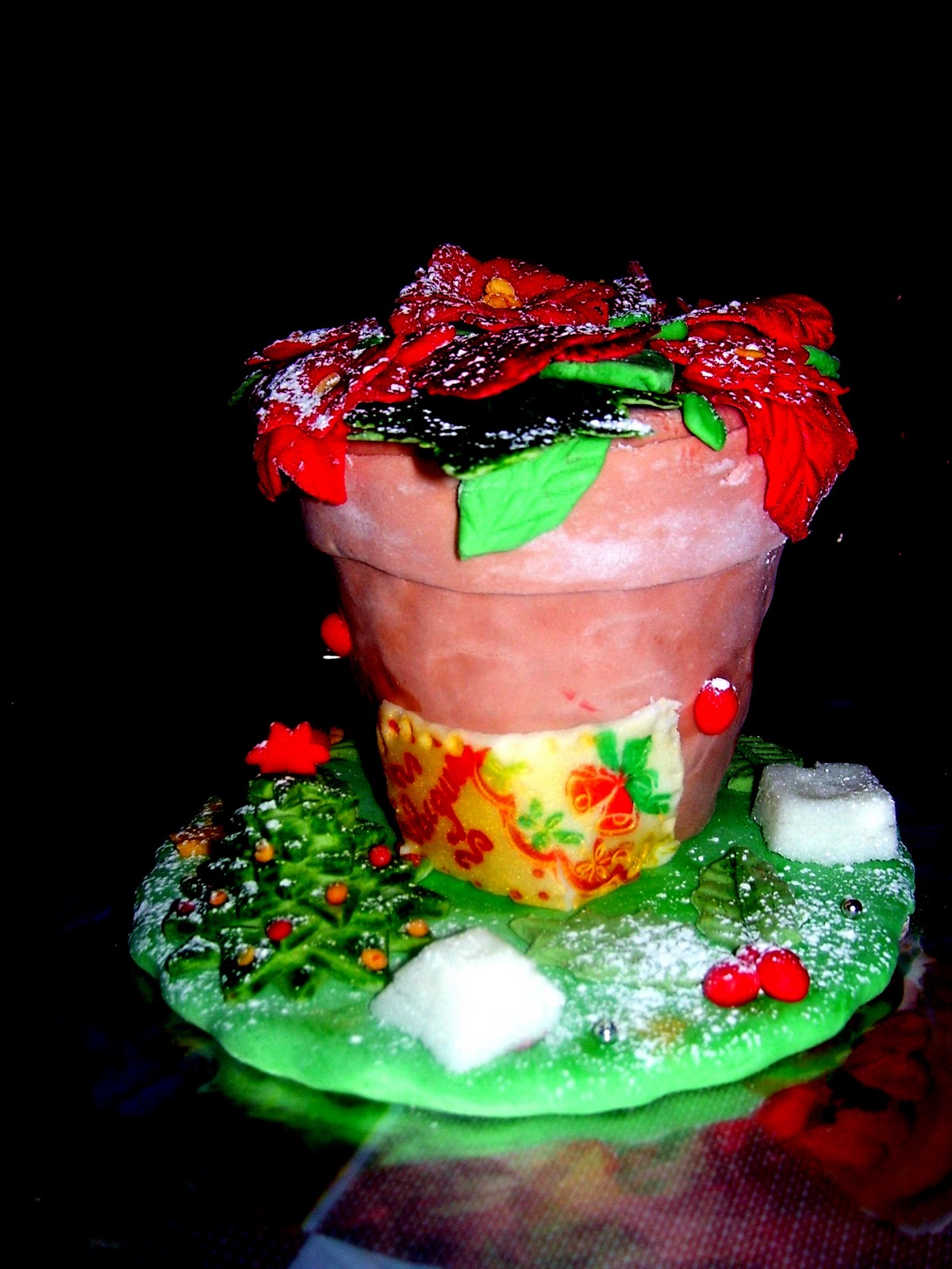 Buon natale 31,90 In Cucina con Letizia: Piantine di Natale e Auguri!