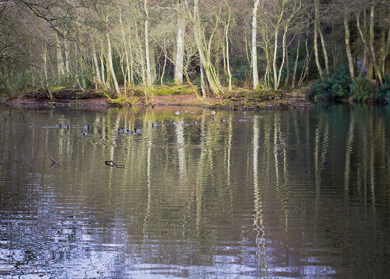 Land of the Big Sky. Aden Country Park and wobbly legs.