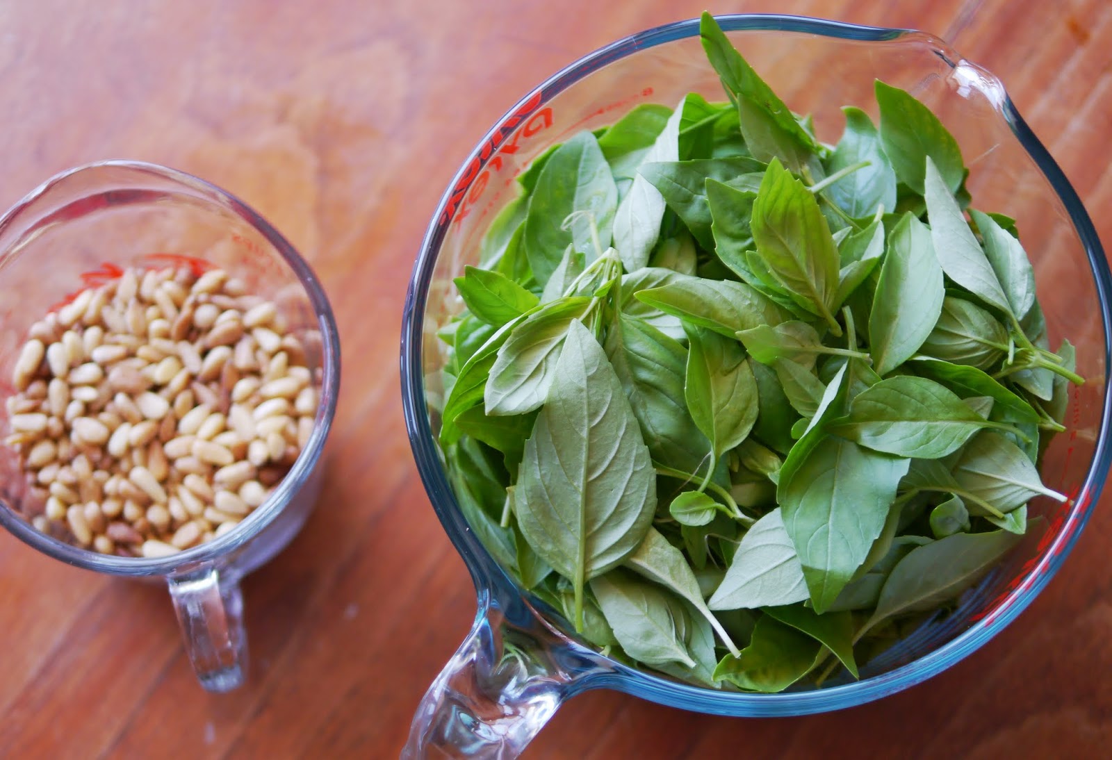 Freezing Basil Pesto A Recipe Backwoods Mama