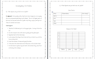 Owl pellet identification chart image