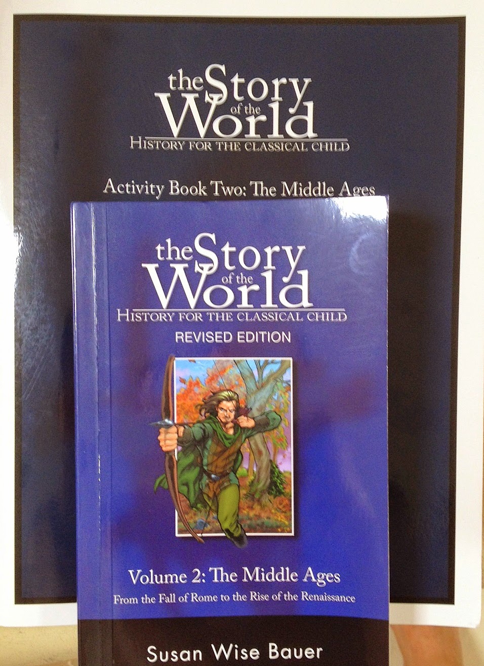 Patterns of world history volume 2