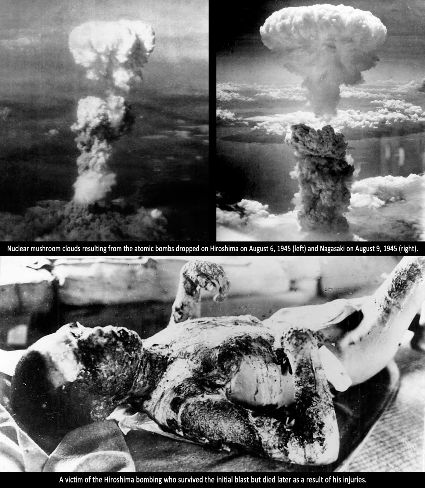 the effect of the bombing on hiroshima on father kleinsorge Father kleinsorge ran into his room and grabbed a first the survivors of the hiroshima bombing are now who suffered no side effects from the bombing. the effect of the bombing on hiroshima on father kleinsorge Father kleinsorge ran into his room and grabbed a first the survivors of the hiroshima bombing are now who suffered no side effects from the bombing.