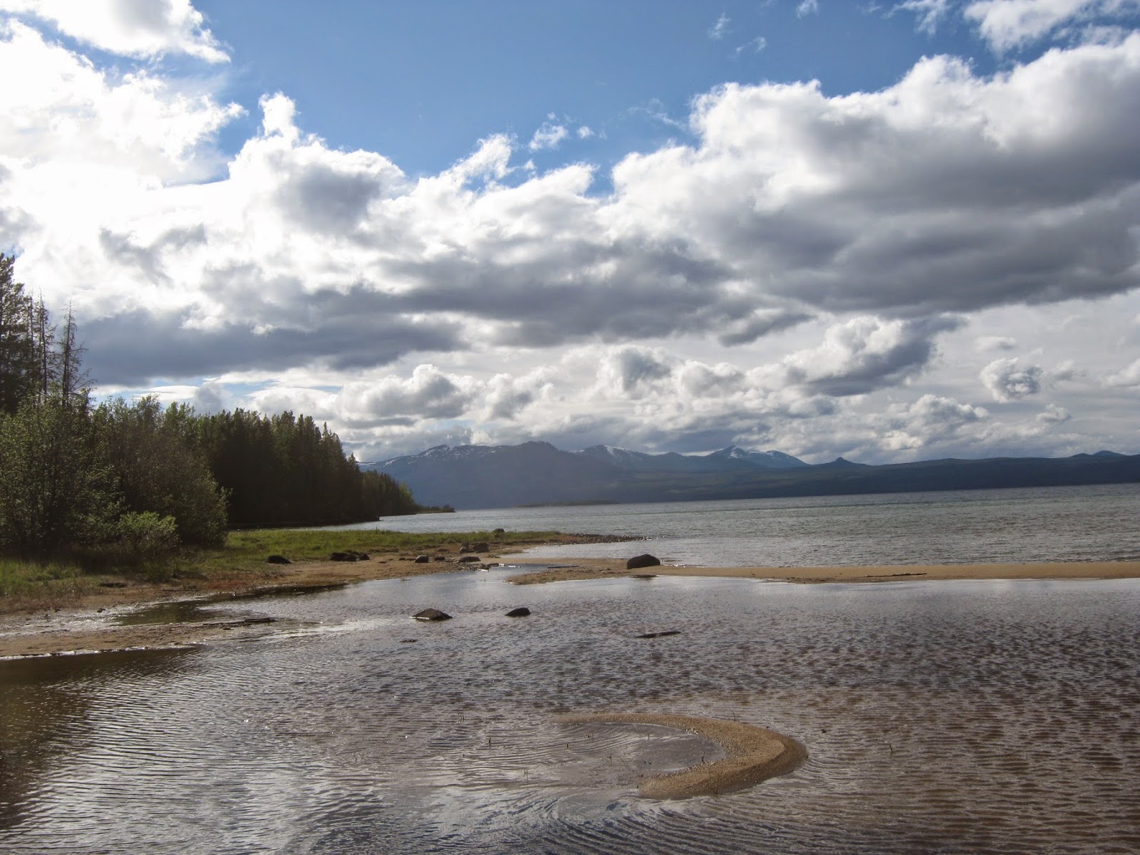 Ranching in Anahim Lake, BC!