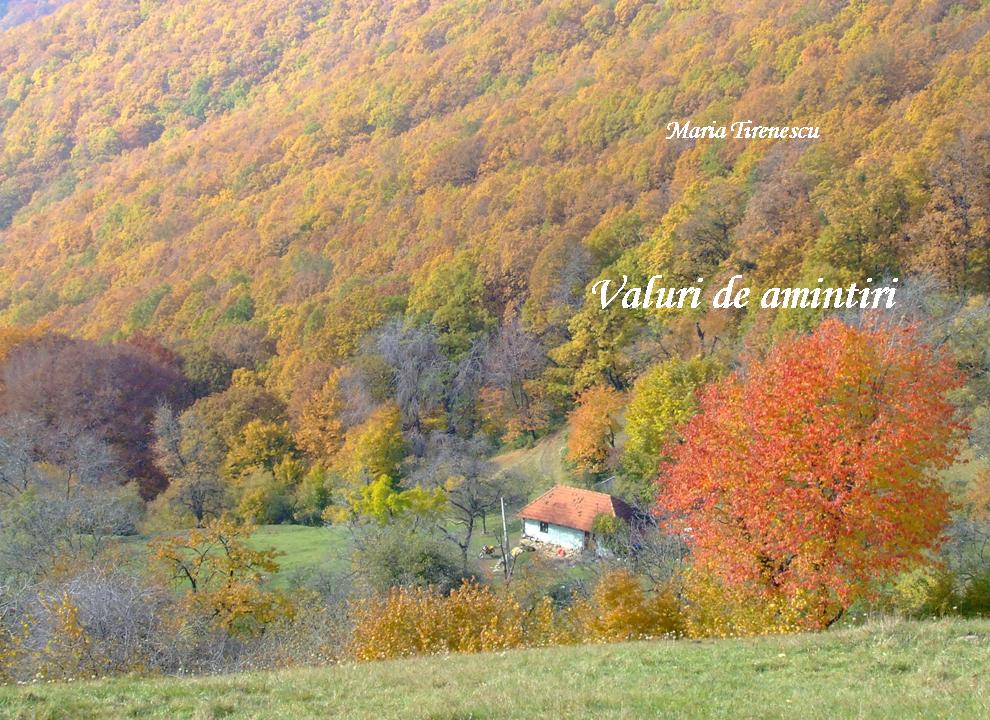 Valuri de amintiri