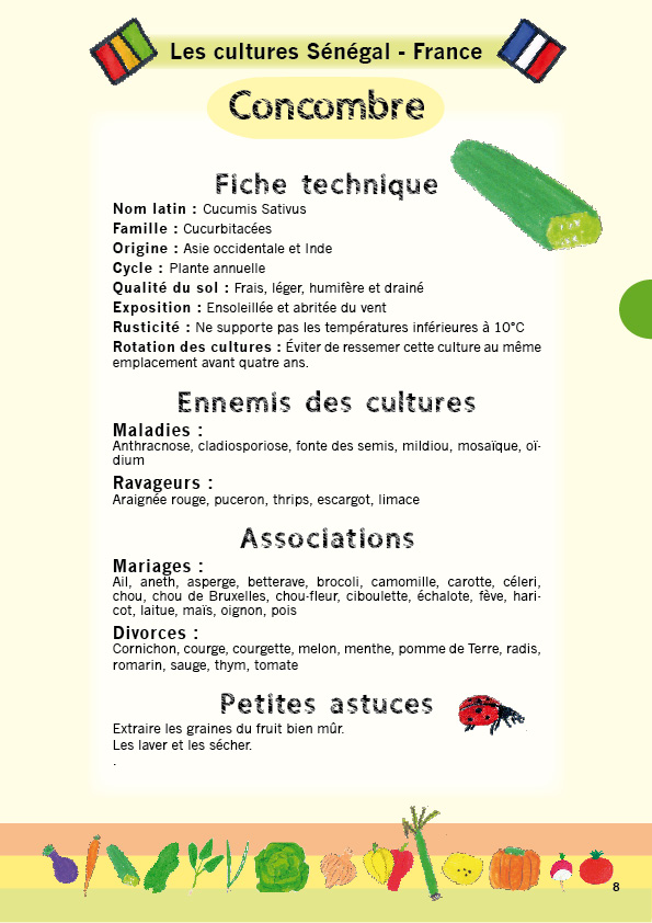 iefr il etait une fois une rencontre