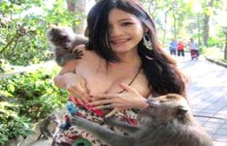 Gambar Foto Payudara Chairman Chen Bikini Melorod Monyet Nakal Bali Mahasiswi Taipei Puting Susu