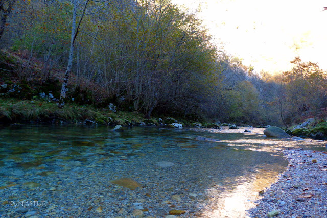 Río Casaño Cabrales Asturias Río Casaño Cabrales Asturias