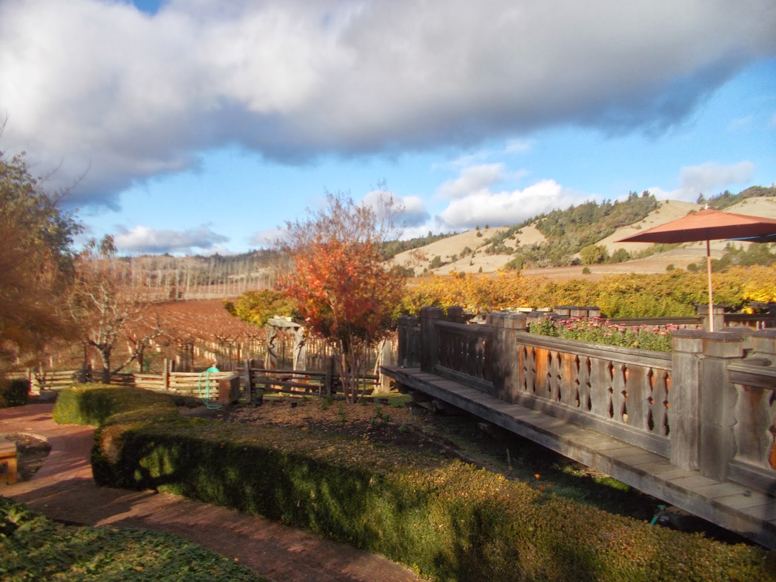 Tarra's Travels California Crescent City, Eureka, Willits, Ukiah and