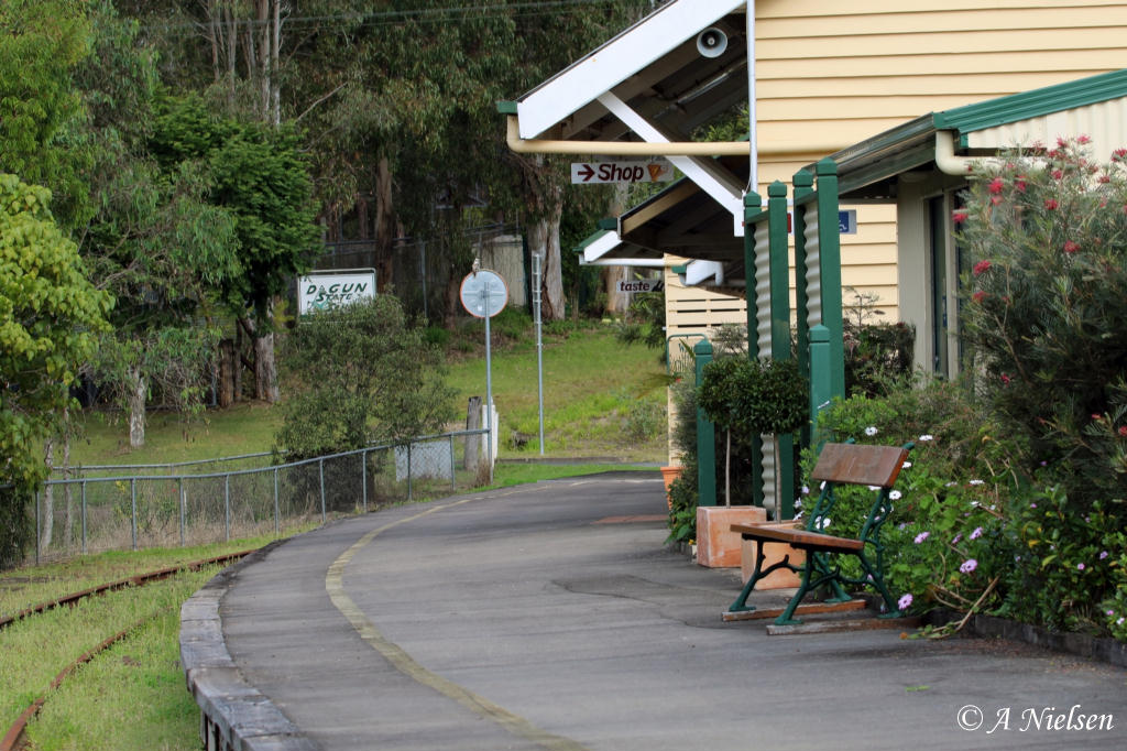 Out and about in Cooloola: Dagun