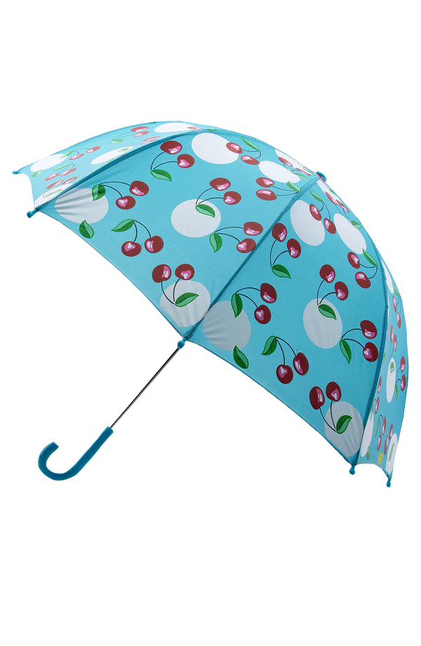 Guarda Chuva png