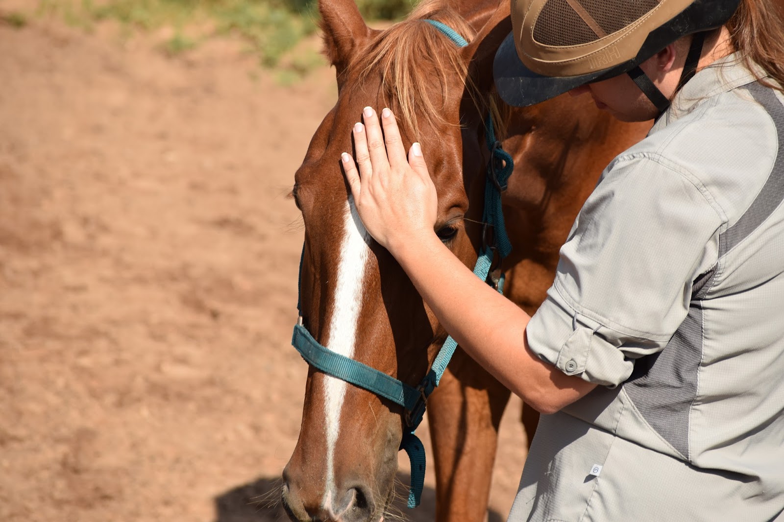 Joyful Horse Veterans Program