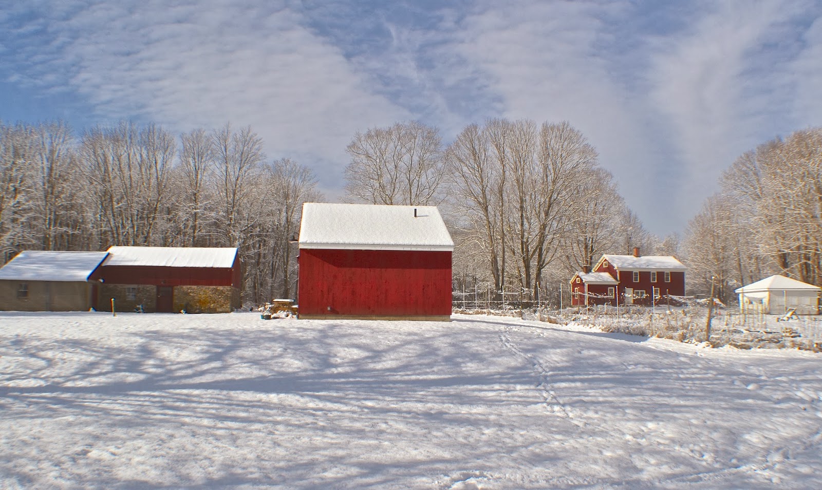 Focus On Killingworth, CT and Surrounding Towns Snow Scenes at