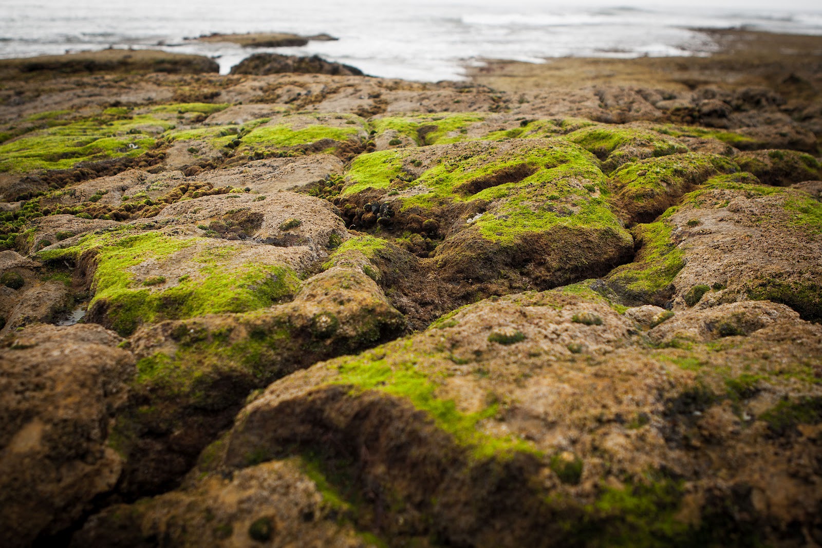 Equators Atlantic Coast Explore This Breathtaking Landform - q4ytax3