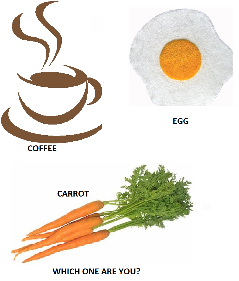 InspireTheSoul Carrot, an Egg or a Coffee bean?