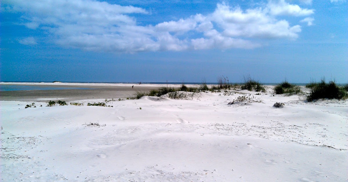 Joyful Mother of Six Children Bird Island Florida