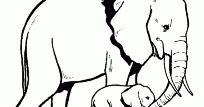 Christmas Coloring Pages Elephant Desktop HD