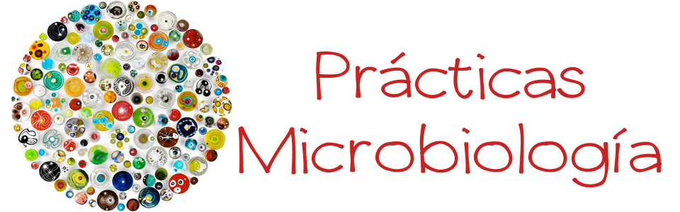 Prácticas Microbiología