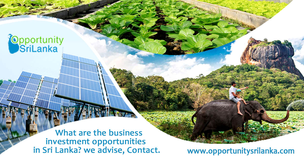 Investment Opportunities in SriLanka