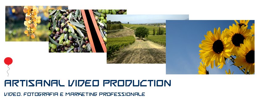 Artisanal Video Productions