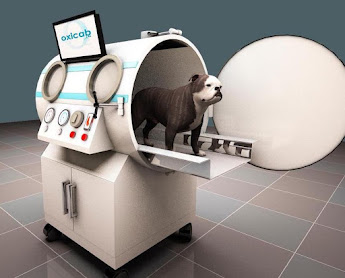 India. Veterinary Hyperbaric Oxygen Therapy (VHBOT) Chamber - 3 ATA