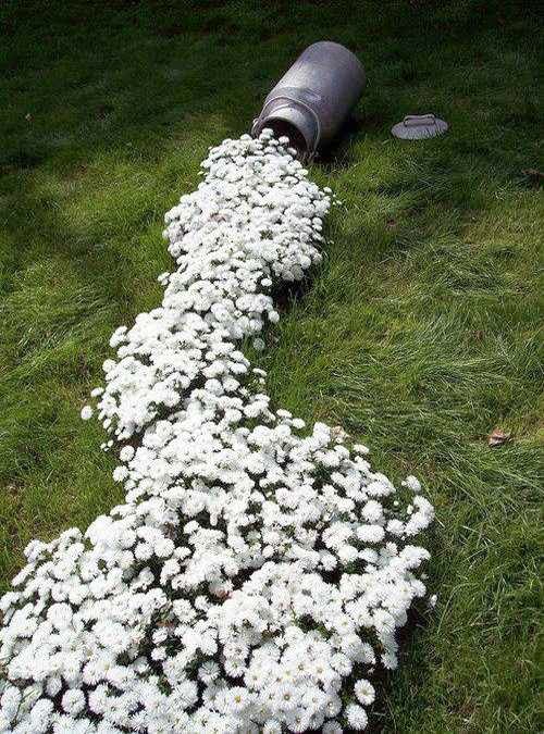Decoracion de patio y jardin creativo patios y jardines