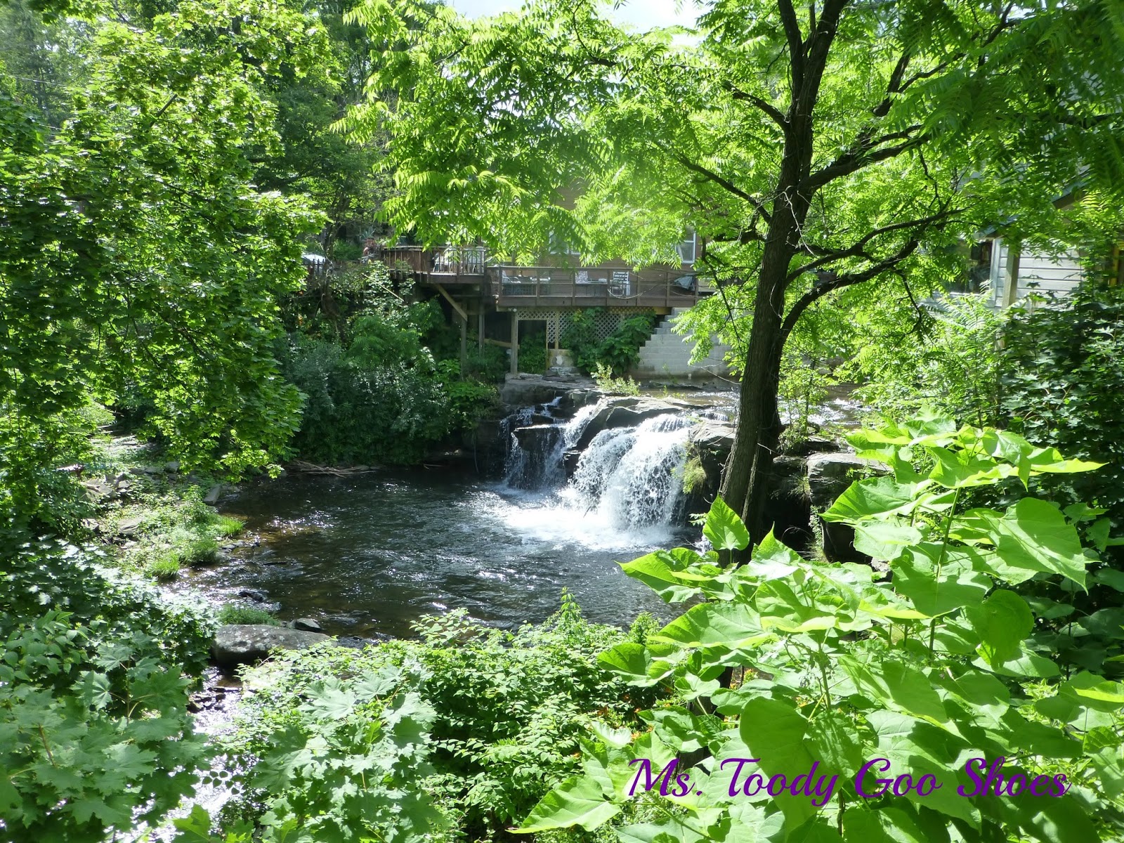Ms. Toody Goo Shoes Woodstock, NY and The Catskill Mountains A Tour