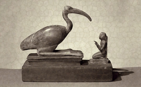 Thoth og knælende tilbeder af ibis kulten