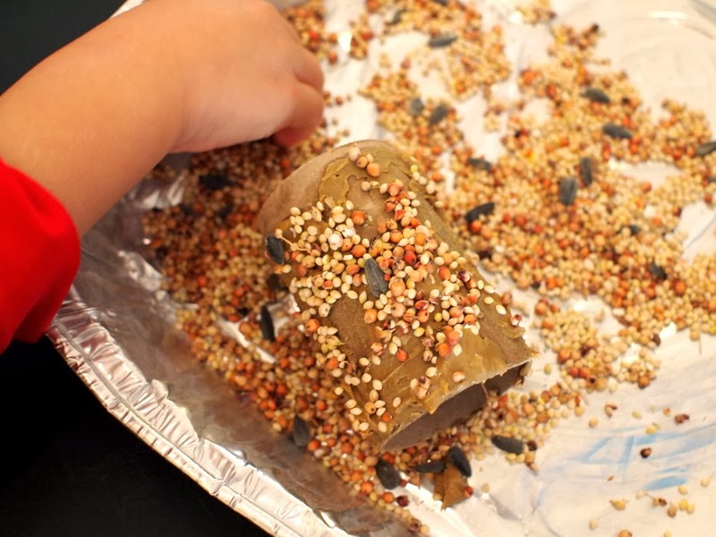 Two Bird Feeder Crafts Toilet Paper Roll Feeders and Ice Feeders