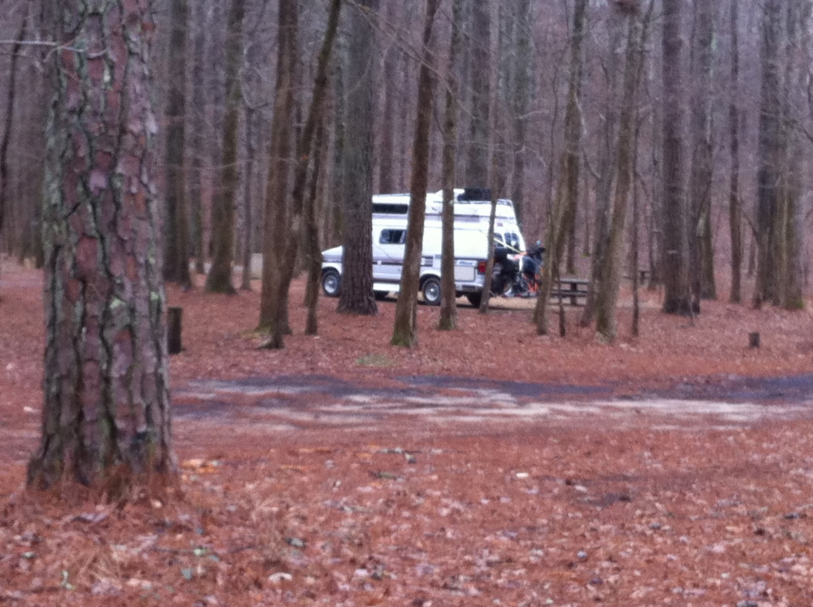 Our Fantastic Falcon Voyage Talladega National Forest Pine Glen