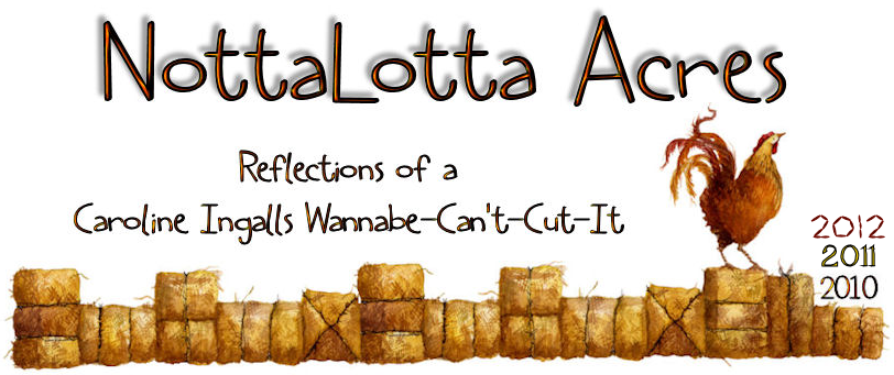 NottaLotta Acres 2010 and beyond