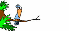 follow me on Twitter