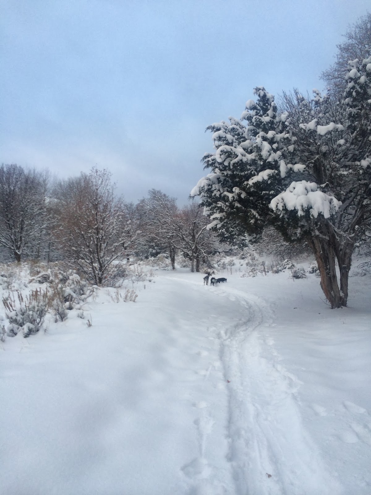 Backcountry Exposure