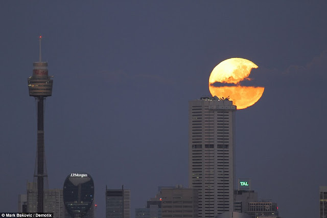 Eclipse......... 2CD8459F00000578-3251497-image-a-139_1443407787856