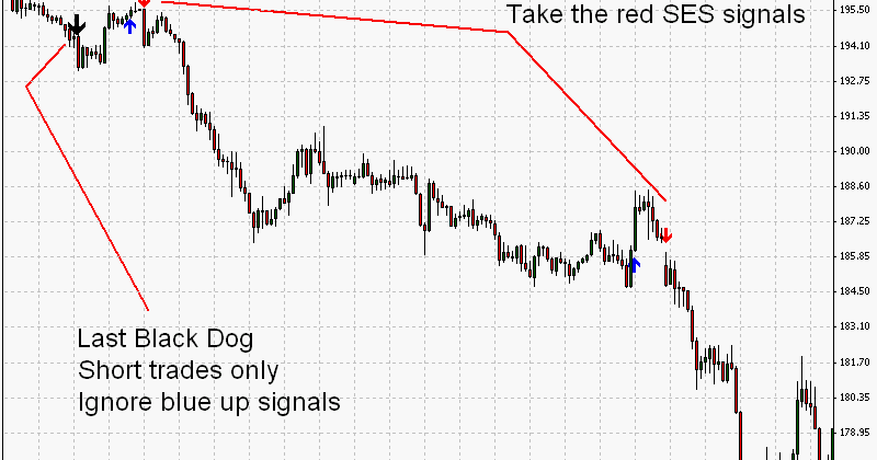 Black dog trading system download