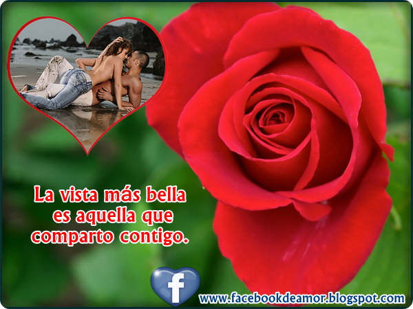 TuParada Facebook - Postales De Amor Animadas Gratis Para Enviar