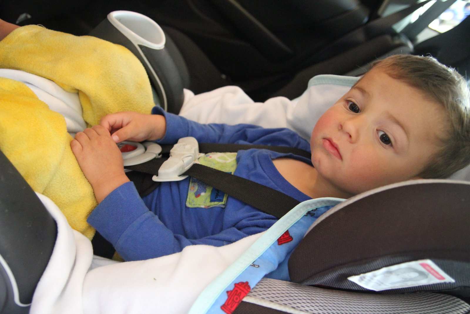 Nicolle's Originals Car Seat Blanket (for under child) from Running