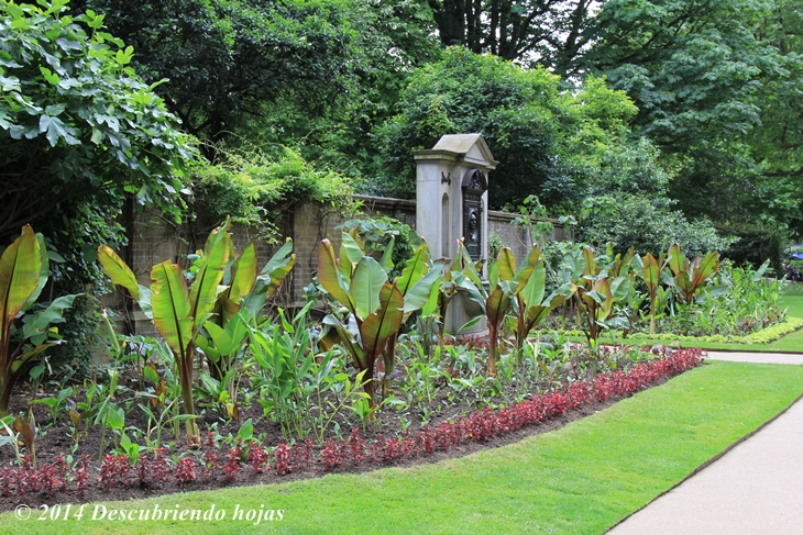 Descubriendo hojas: Una terraza-bar-café lleno de flores en Londres